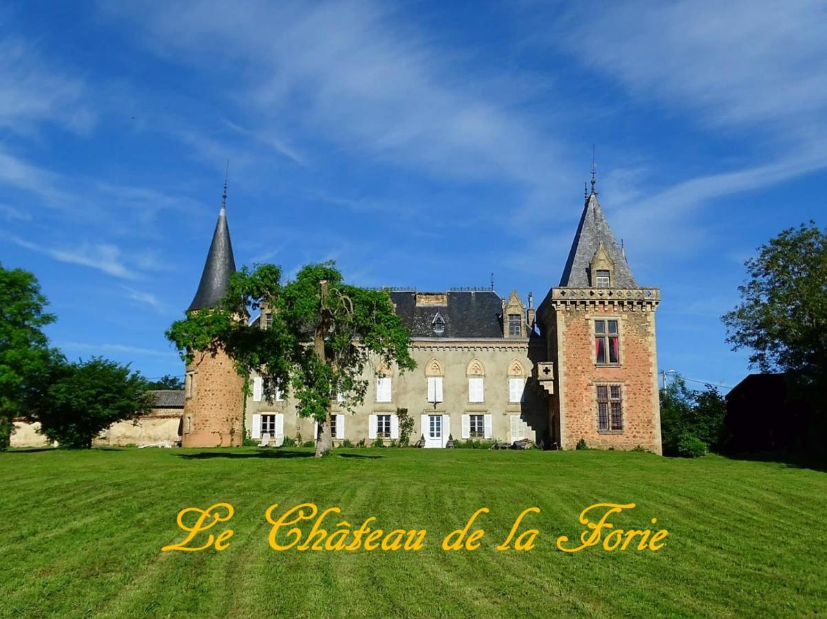 Chateau De La Forie Saint-Etienne-sur-Usson Exterior foto