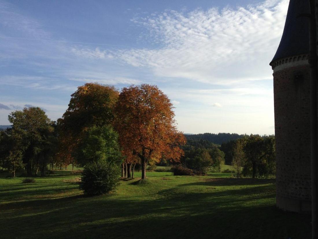 Chateau De La Forie Saint-Etienne-sur-Usson Exterior foto