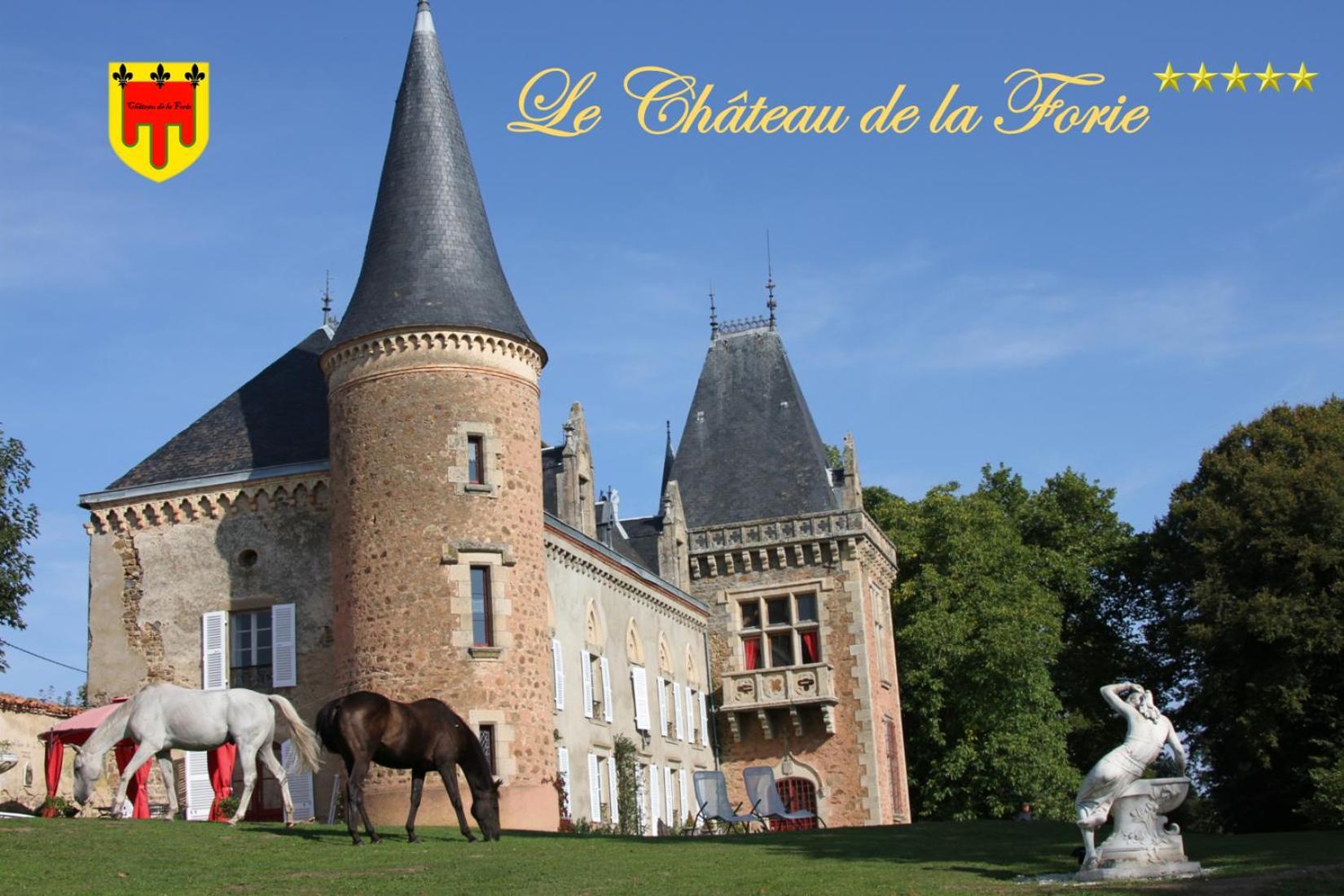 Chateau De La Forie Saint-Etienne-sur-Usson Exterior foto